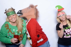 Horse head in the photo booth in sarasota florida